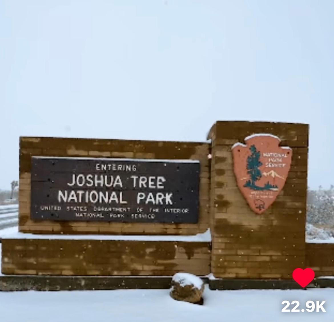 The Joshua Tree House别墅 外观 照片