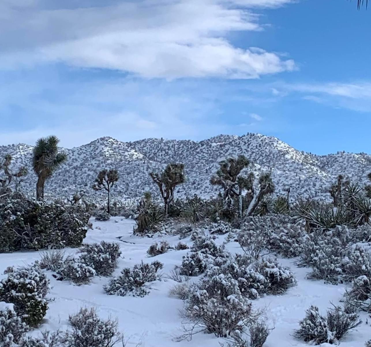 The Joshua Tree House别墅 外观 照片