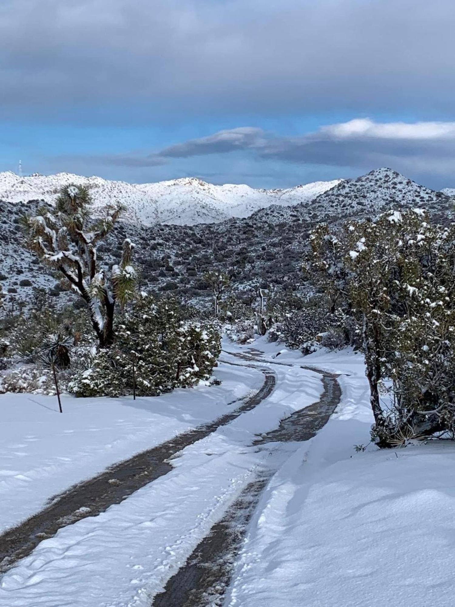 The Joshua Tree House别墅 外观 照片