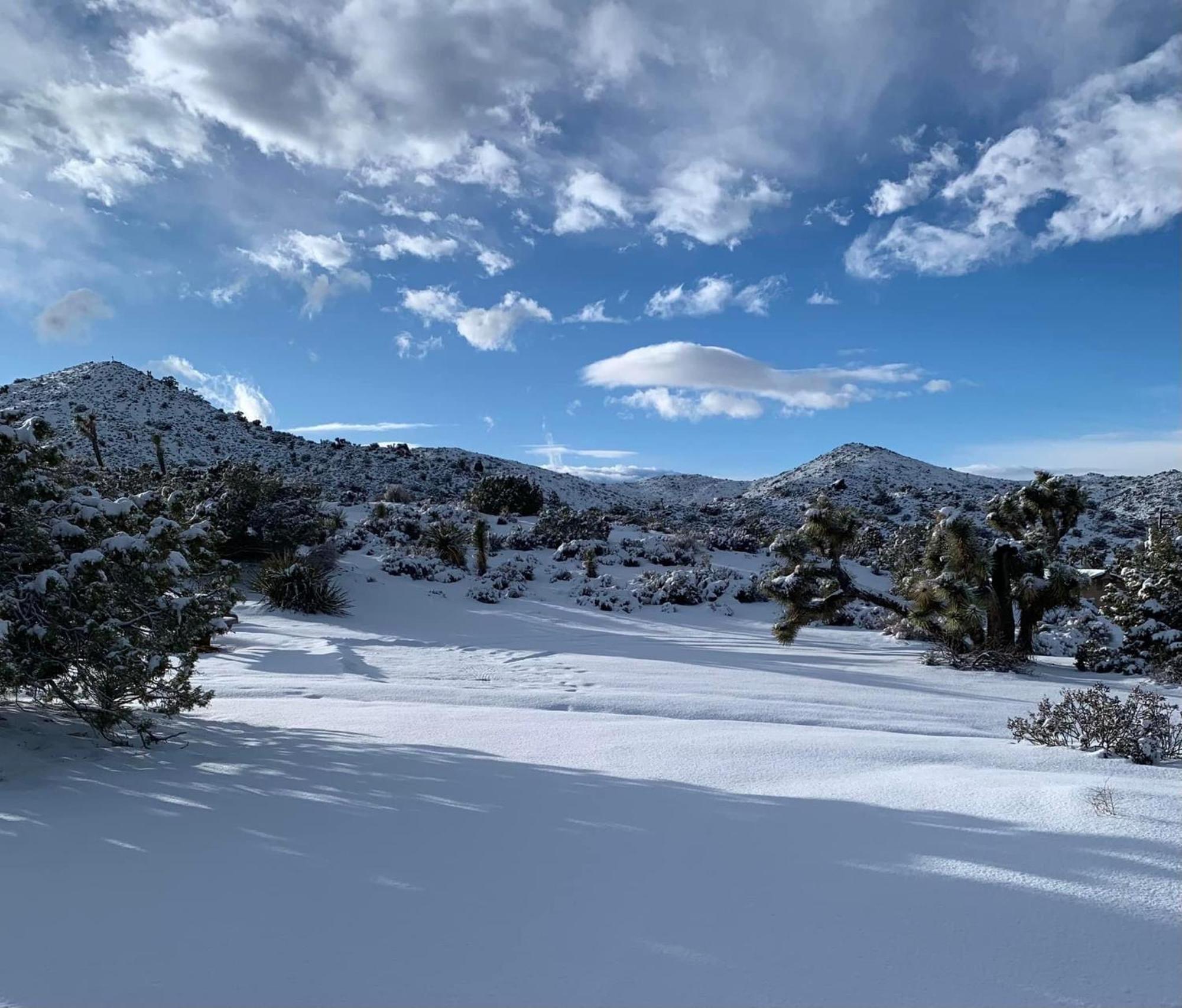 The Joshua Tree House别墅 外观 照片