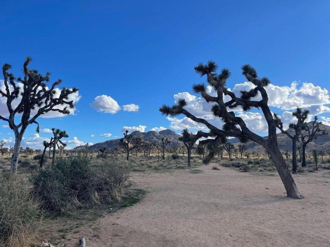 The Joshua Tree House别墅 外观 照片