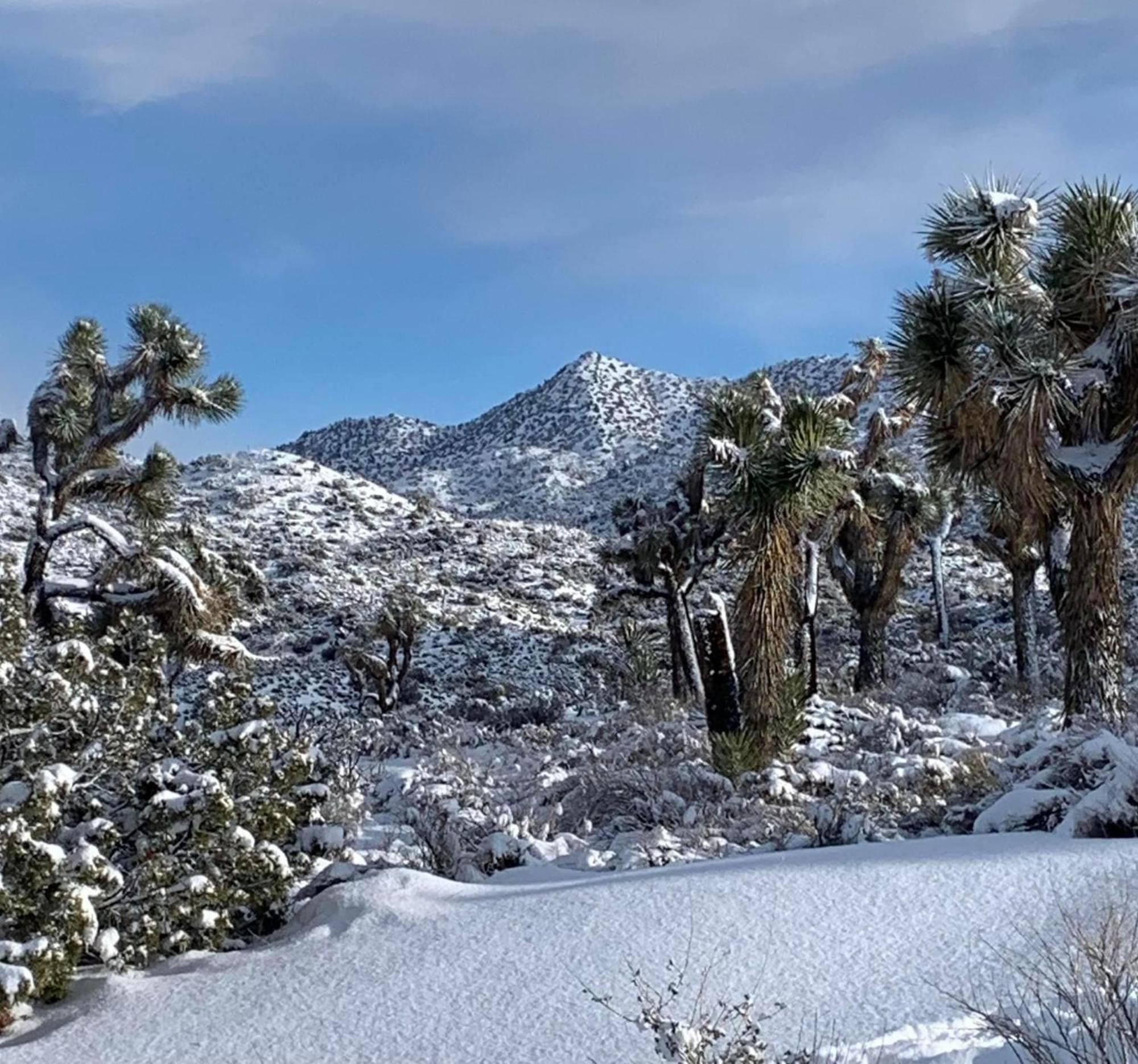 The Joshua Tree House别墅 外观 照片